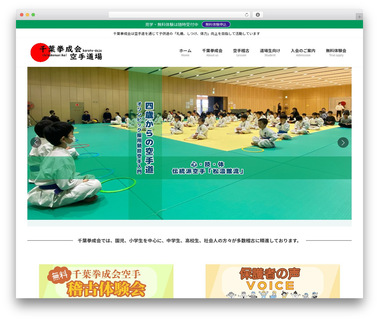 Lightning WordPress theme design - chibakenseikai.com