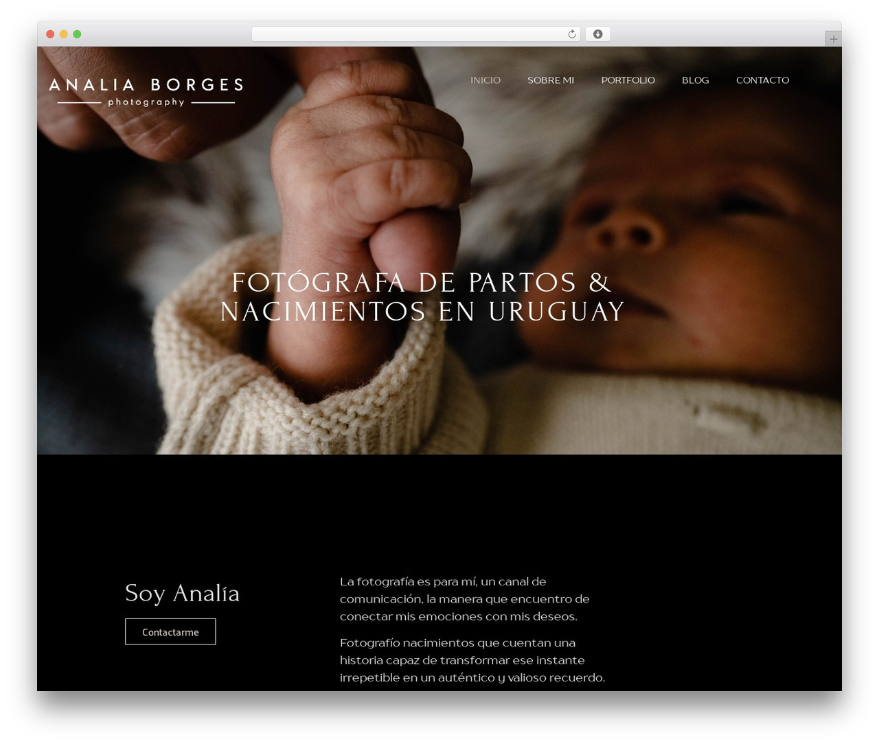 Theme WordPress Hello Elementor - analiaborges.com Theme WordPress Hello Elementor - analiaborges.com