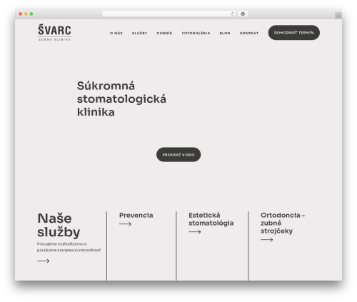 visibility WordPress theme - svarc.sk
