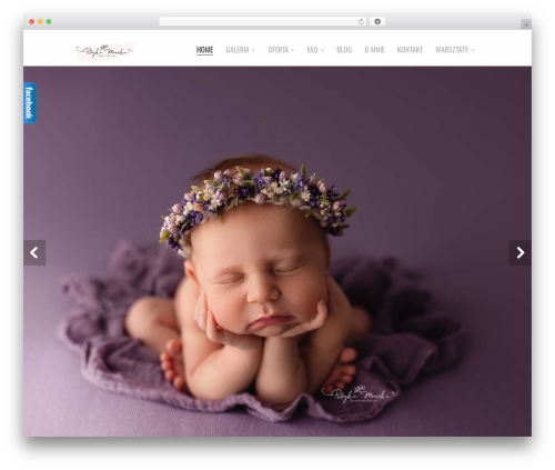 WordPress theme Cesar - pstrykamonika.com