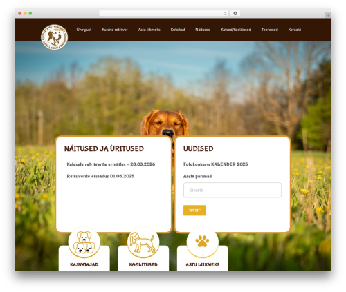 Touchy by bonfire WordPress plugin - kuldne.ee