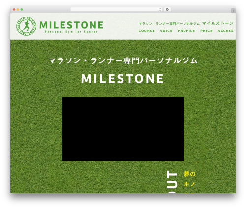 WordPress website theme Milestone - milestone-run.com