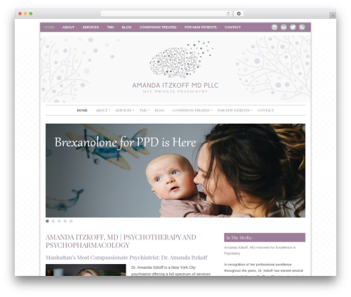 WP theme Beverly - psychiatristsnyc.com