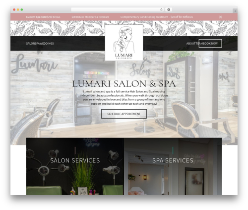 Custom Theme by Aurora Tech theme WordPress - lumarisalon.com