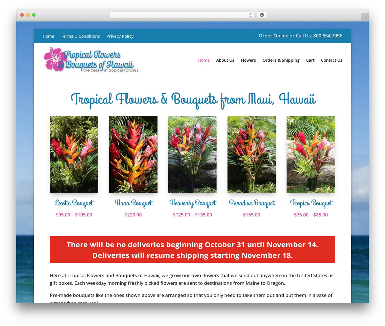 Divi WordPress theme - tropicalflowersandbouquets.com
