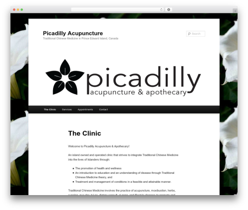 Duster WordPress website theme - picadillyacupuncture.ca