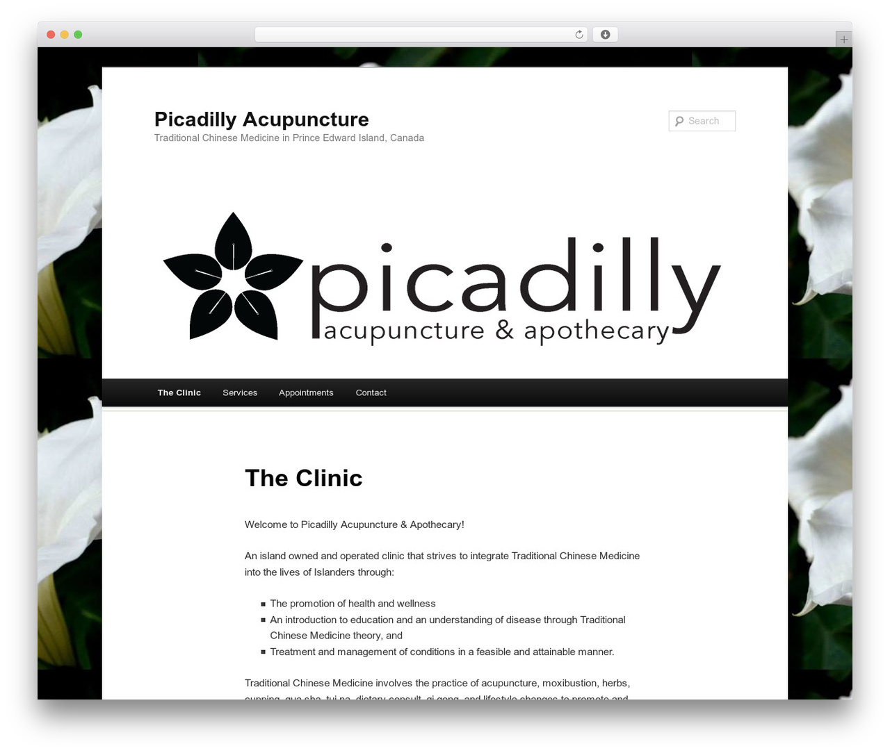 Duster WordPress website theme - picadillyacupuncture.ca Duster WordPress website theme - picadillyacupuncture.ca
