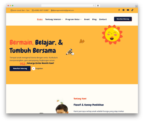 Hello Elementor WP theme - tk.djoeraganwebsite.com