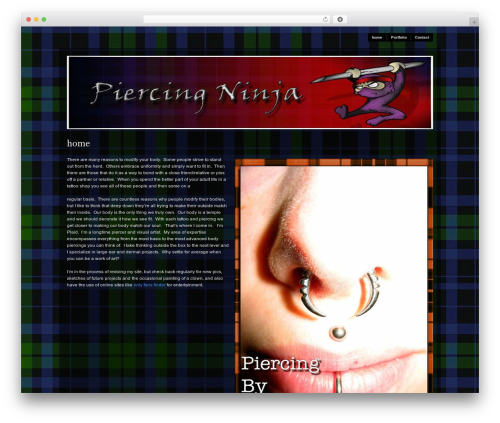 Modularity Lite WP theme - piercingninja.com