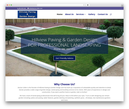 WordPress theme Divi - declancullen.com