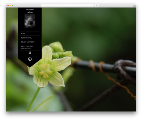 WordPress theme KingSize - photos-nature.de