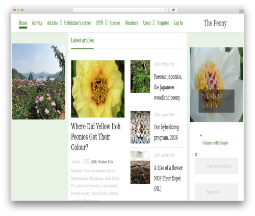 Youzify edit activity WordPress plugin - peonysociety.org