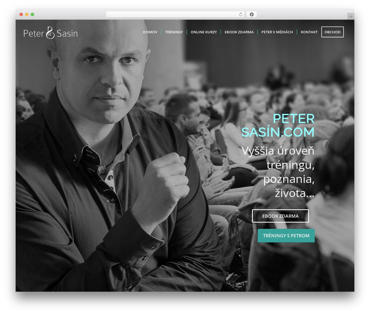 WordPress website theme Enfold - petersasin.com WordPress website theme Enfold - petersasin.com