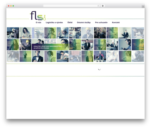 Theme WordPress fls - fls.cz/cs