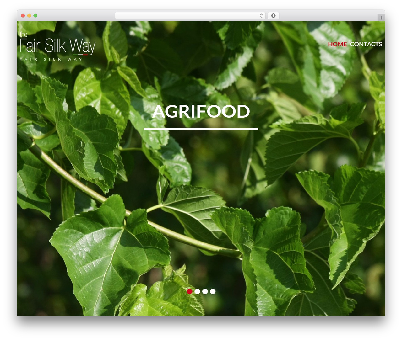 WordPress theme cherry - fairsilkway.com WordPress theme cherry - fairsilkway.com
