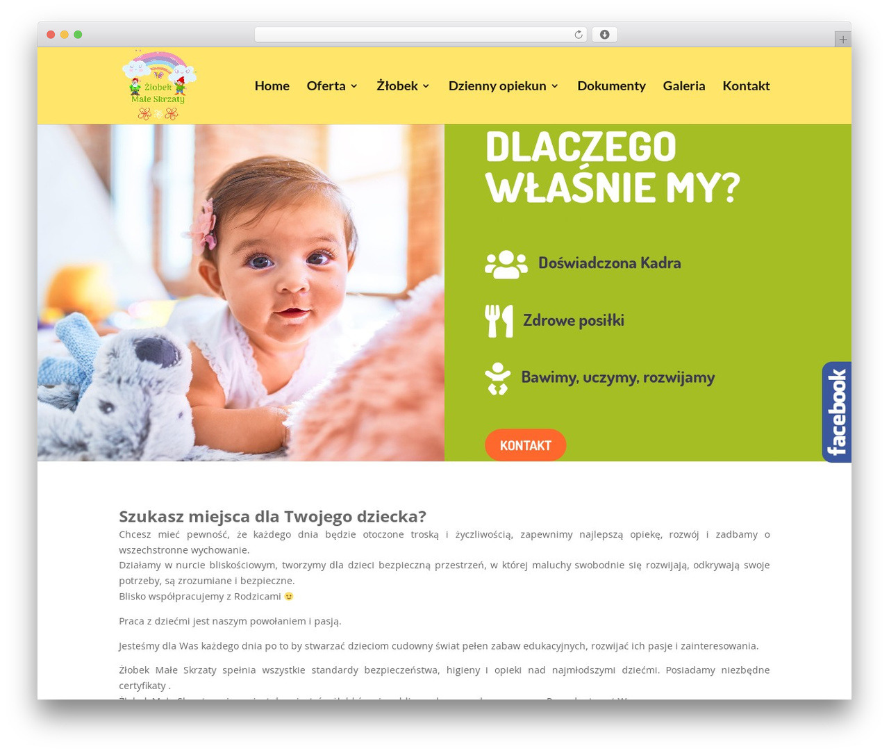 WordPress theme Divi - maleskrzaty.pl