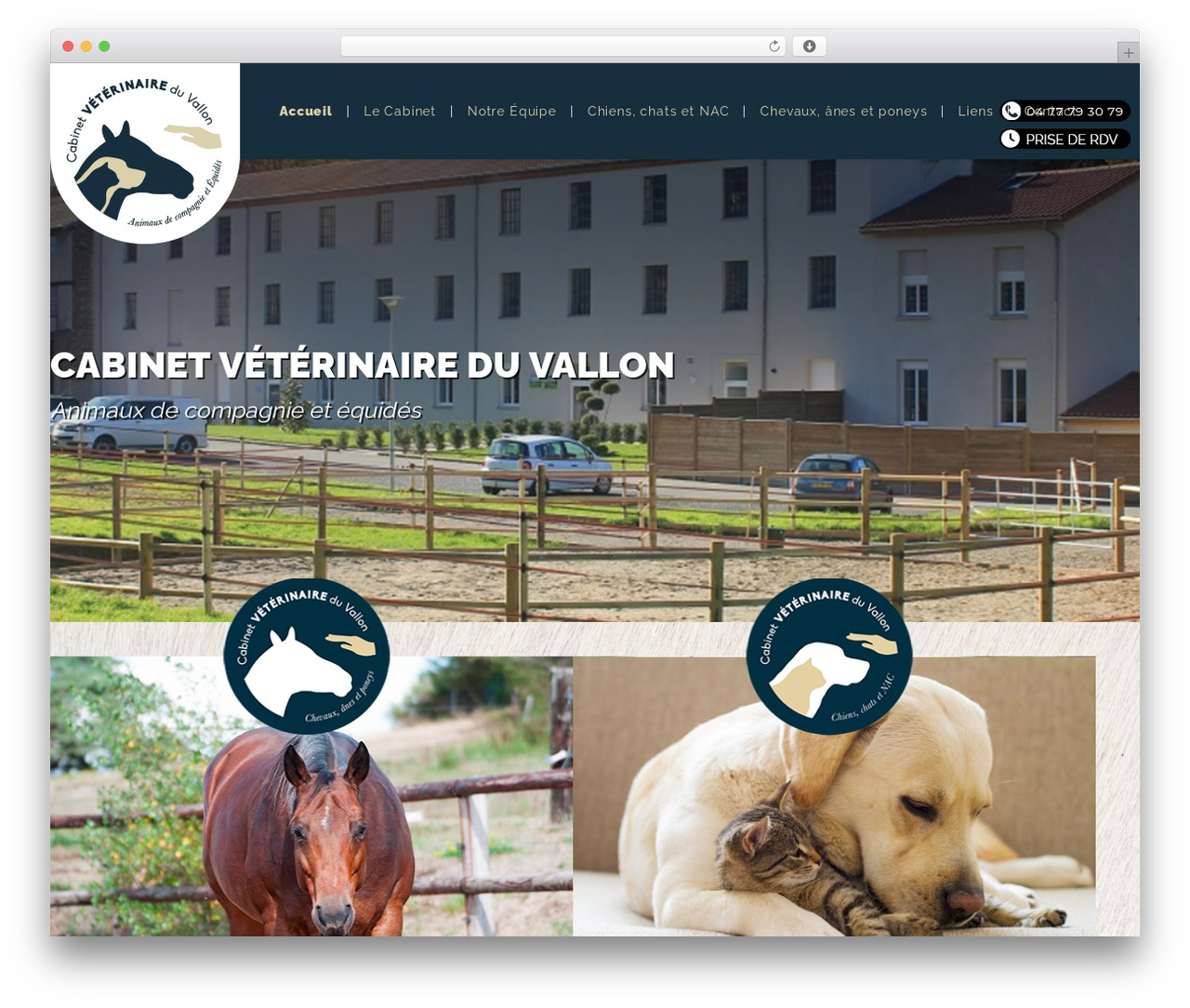 WordPress theme Igloo - cabinetveterinaireduvallon.com