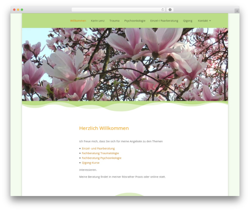 Divi WordPress theme - karinlenz.de