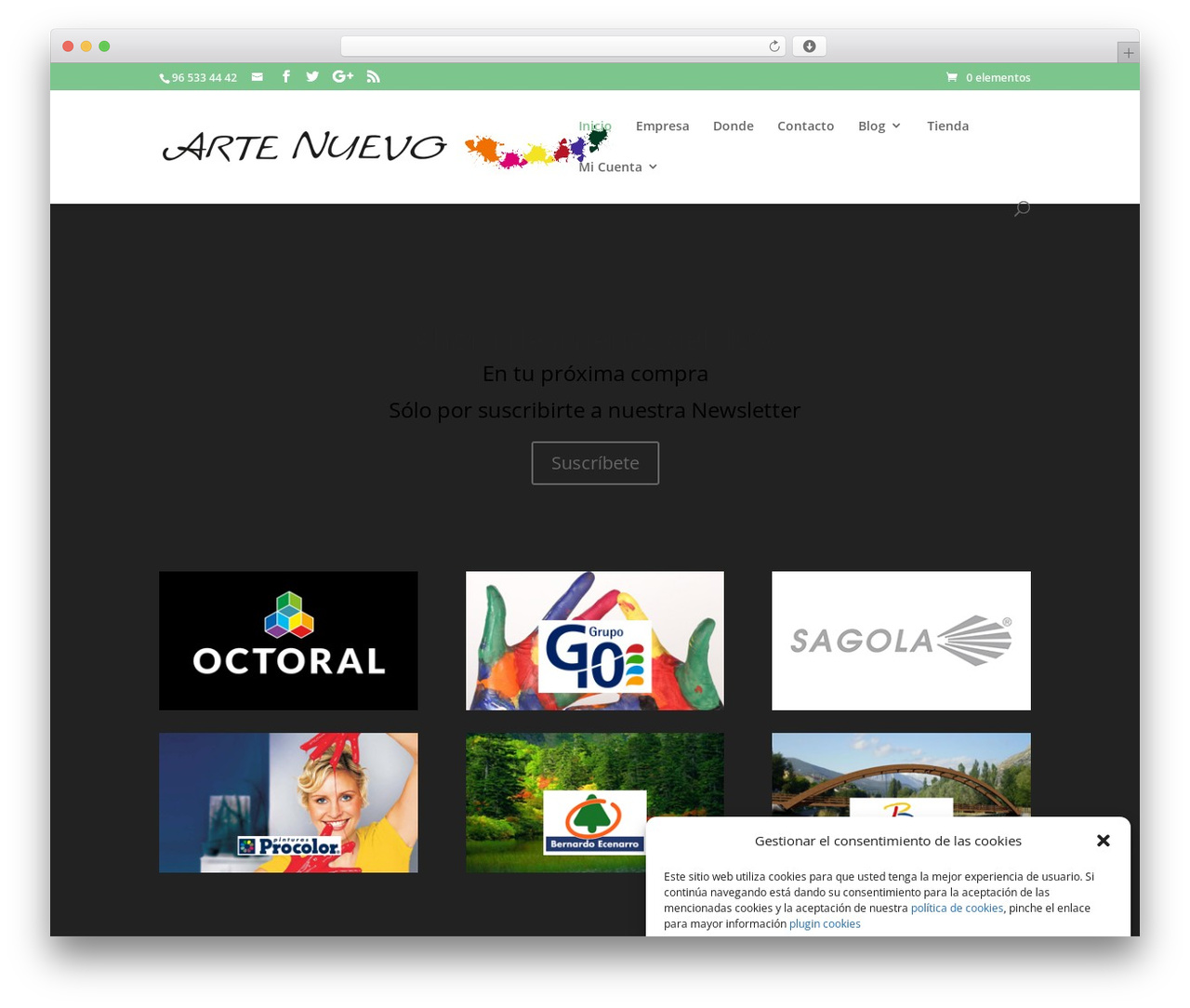 Divi WordPress theme - pinturasartenuevo.com