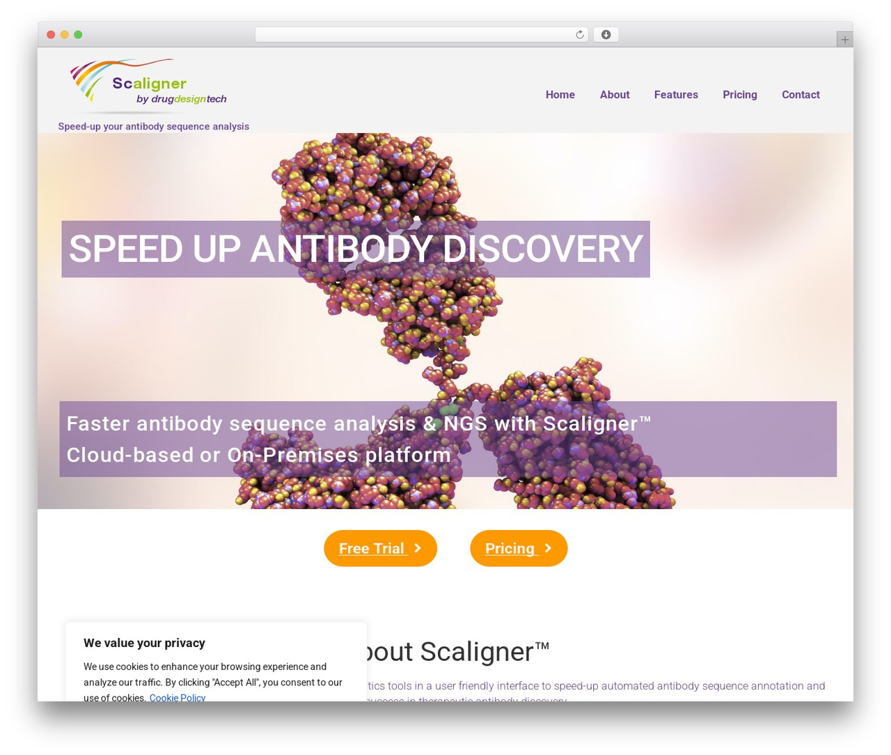 evolve Plus Child WordPress theme design - scaligner.com