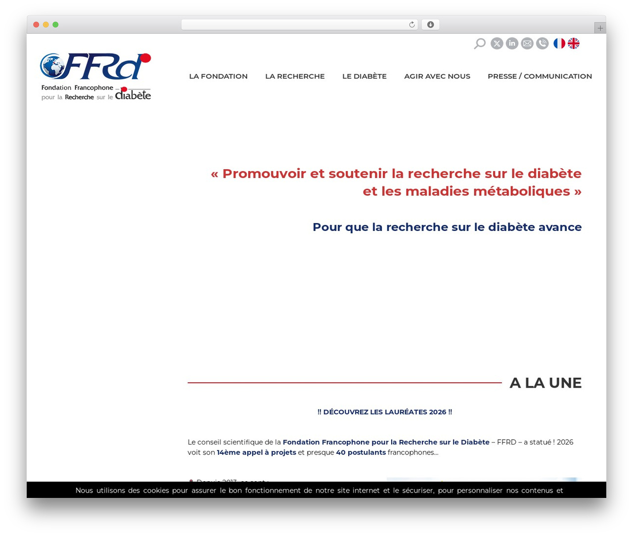 ffrd WordPress theme - ffrdiabete.org