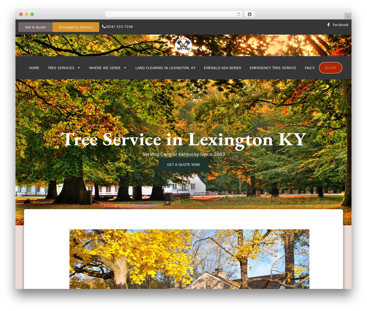 Hello Elementor WordPress theme - centralkytreeservice.com