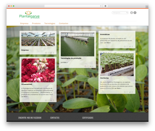 Remal WordPress theme - plantalgarve.com