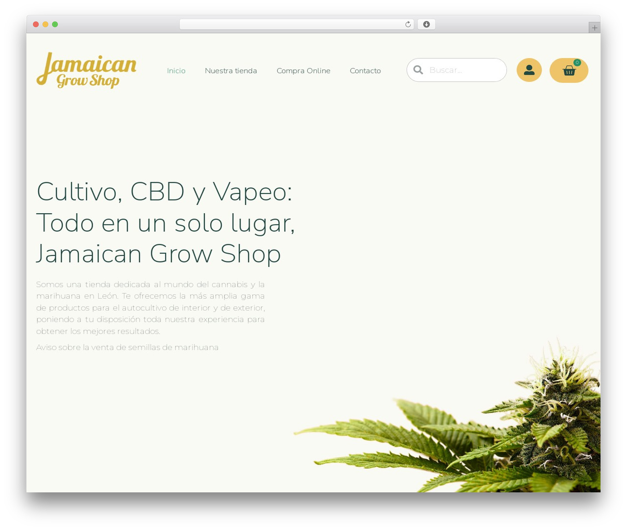 Theme WordPress GeneratePress - jamaicangrowshop.es Theme WordPress GeneratePress - jamaicangrowshop.es