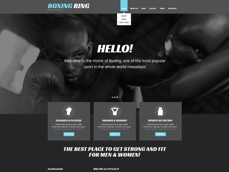 theme54034 WordPress theme
