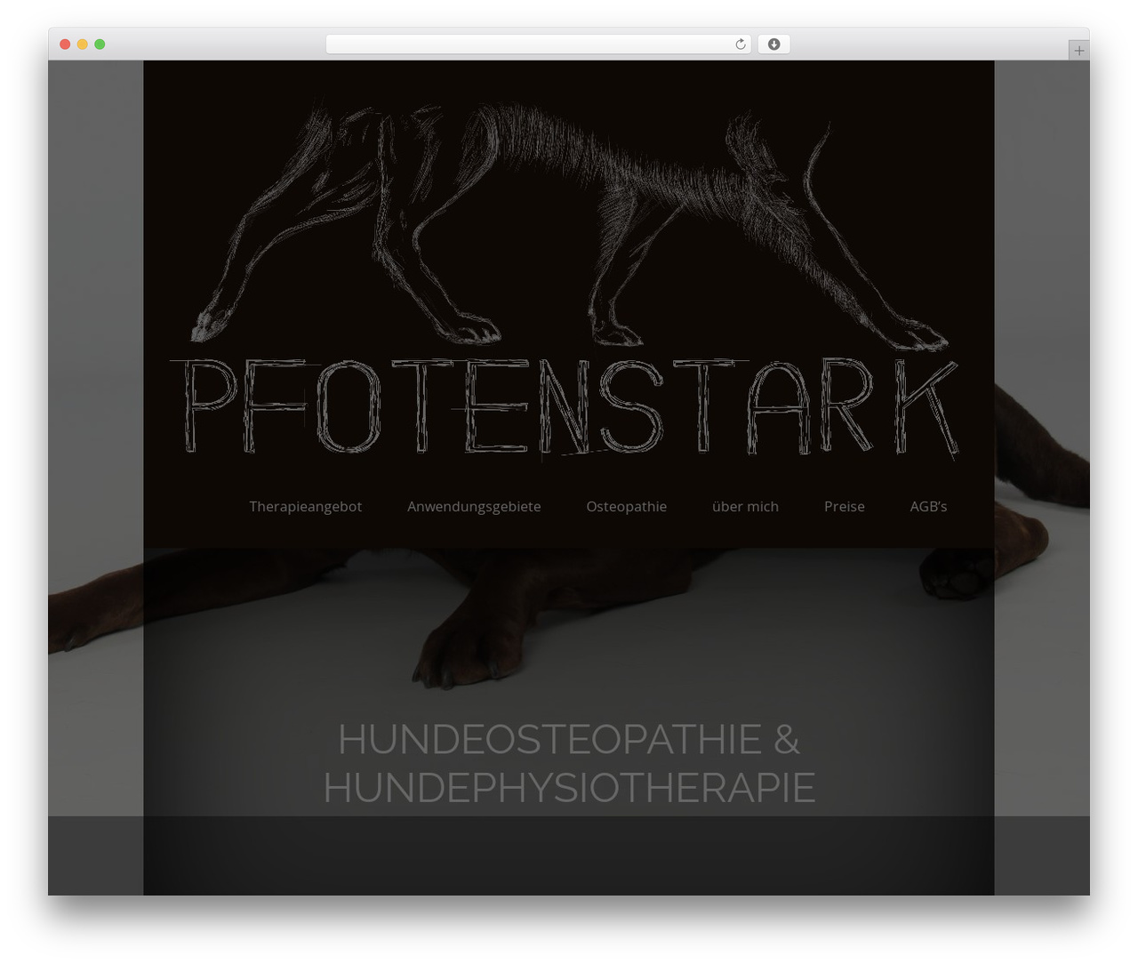 WordPress theme Omega - pfotenstark.de WordPress theme Omega - pfotenstark.de