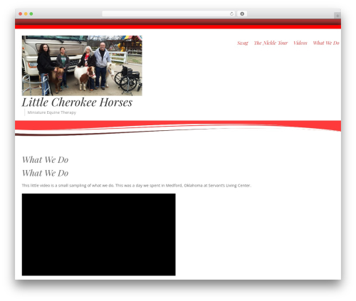 zStore Manager Basic (zstore-manager-basic) free WordPress plugin - littlecherokeehorses.com zStore Manager Basic (zstore-manager-basic) free WordPress plugin - littlecherokeehorses.com