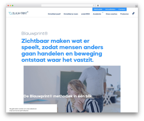 Beaver Builder Theme WordPress ecommerce theme - blauwprint.com