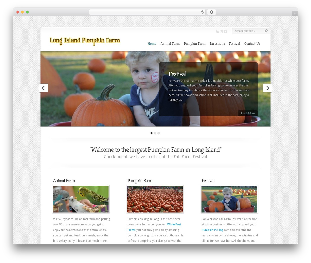 Chameleon theme WordPress - pumpkinfarmslongisland.com