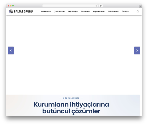 DirectIQ Email Marketing (directiq-wp) free WordPress plugin - baltasgrubu.com