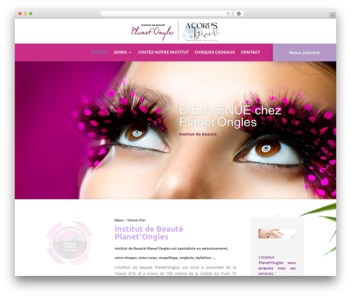 Divi WordPress theme design - planetongles.com