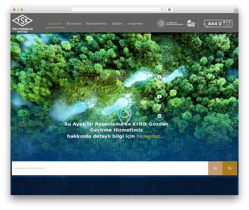 Elfsight team showcase cc WordPress plugin - www.tse.org.tr