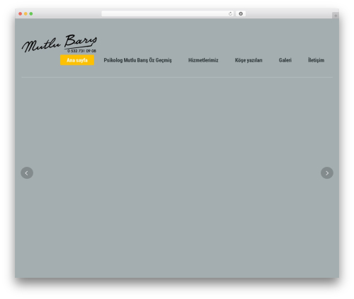 Selfy theme WordPress - psikologbodrum.com