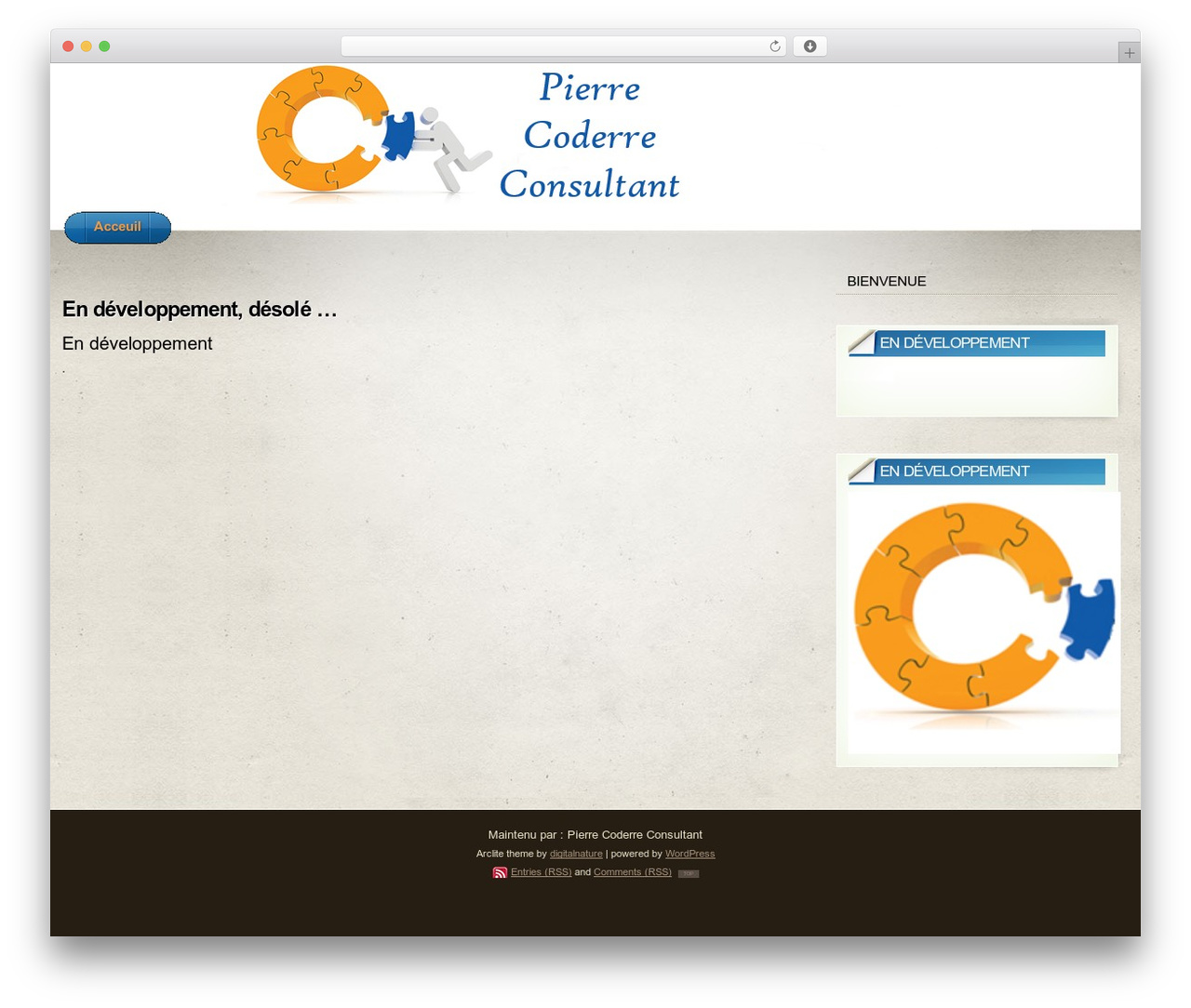 WordPress theme Arclite - pierrecoderre.com