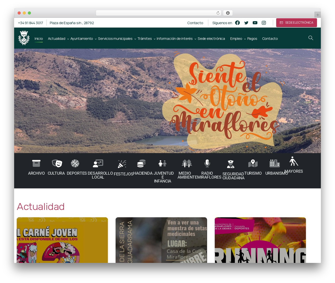 Essentials theme WordPress - mirafloresdelasierra.es Essentials theme WordPress - mirafloresdelasierra.es