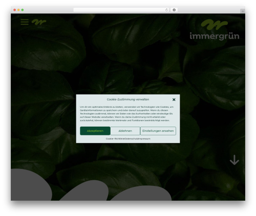 immergrün Theme theme WordPress - mein-immergruen.de