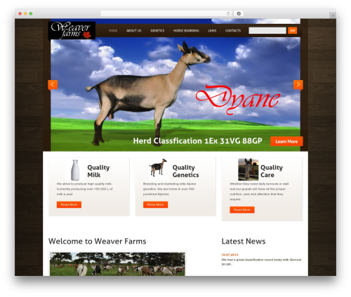 Theme WordPress WordPress Theme 1384 - weaverfarms.net