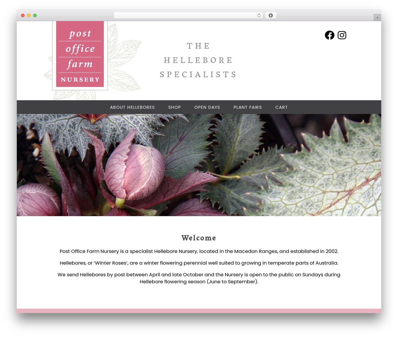 WordPress theme postoffice - postofficefarmnursery.com.au WordPress theme postoffice - postofficefarmnursery.com.au