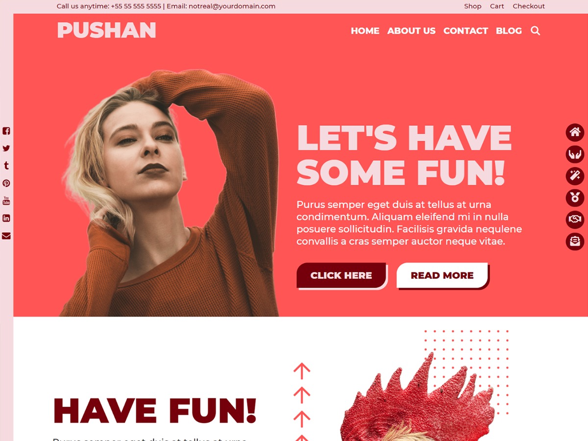 WordPress theme PUSHAN