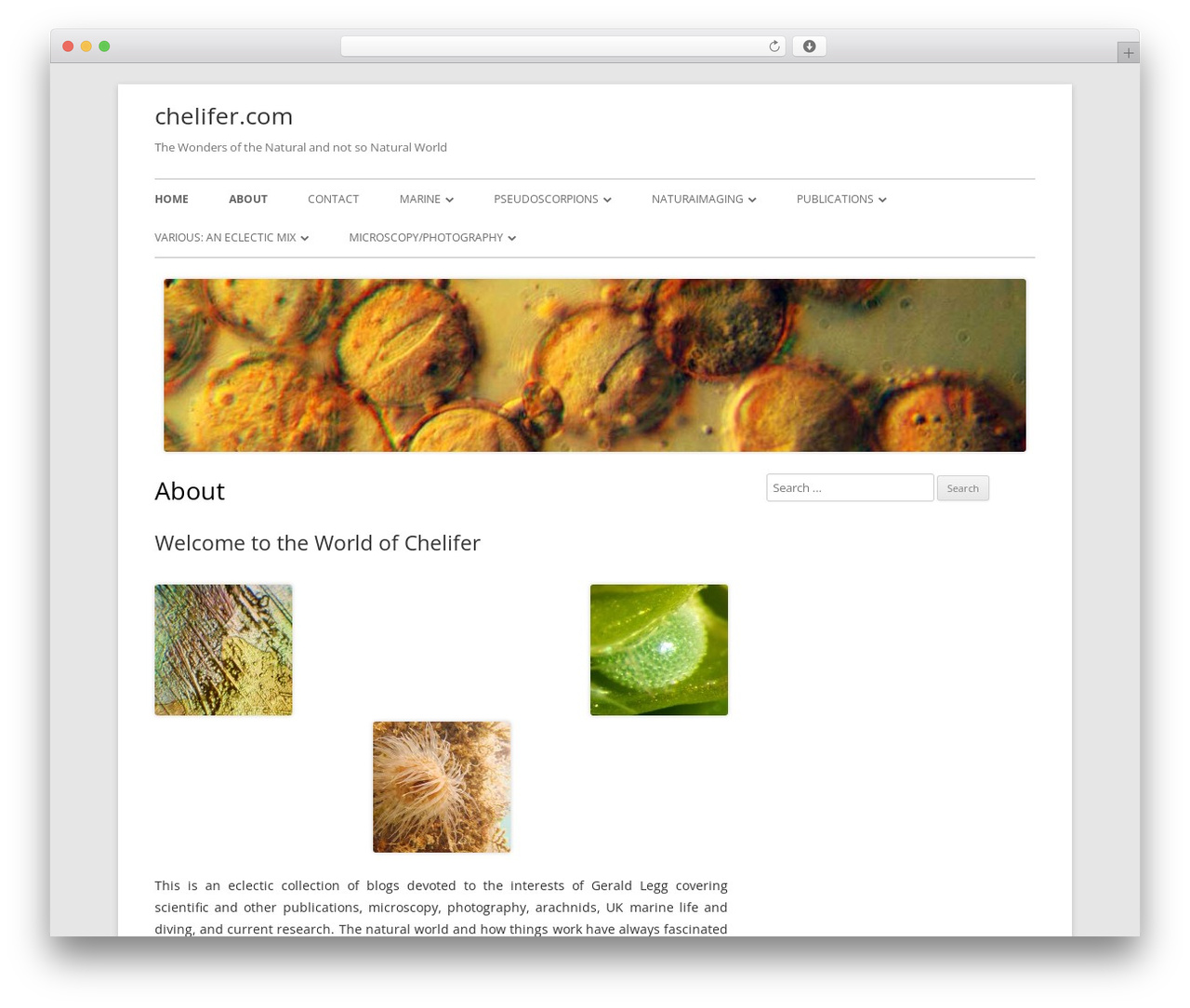 WordPress website theme Tiny Forge - chelifer.com WordPress website theme Tiny Forge - chelifer.com