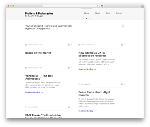 WP theme iWrite - protozoa.com.au