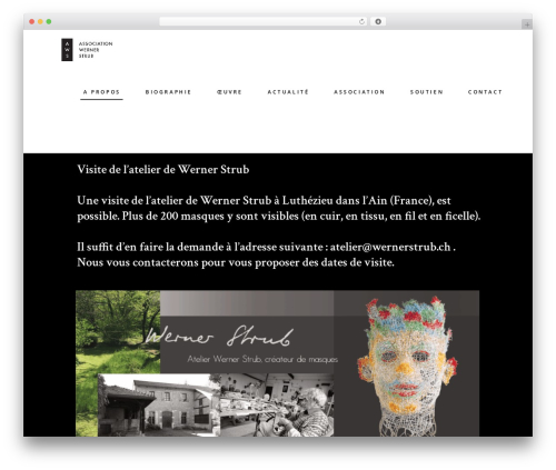 Bard shows WordPress plugin - wernerstrub.ch
