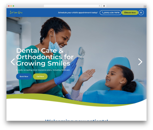 Choice WordPress theme - just-for-grins.com
