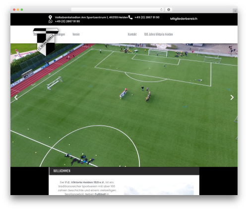 Agency copyright manager WordPress plugin - viktoria-heiden.de