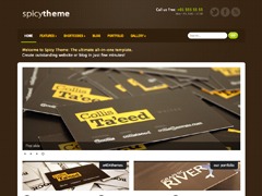 Spicy Theme WordPress theme by e404 Themes