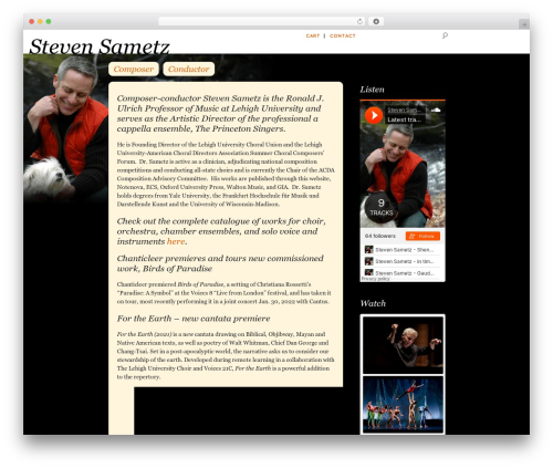 StevenSametz Custom Theme theme WordPress - stevensametz.com